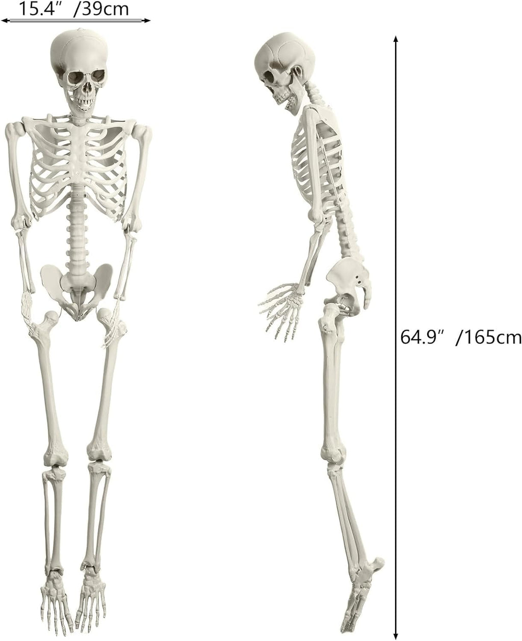 Halloween Skeleton Decoration 65inch Plastic Life Size K45483