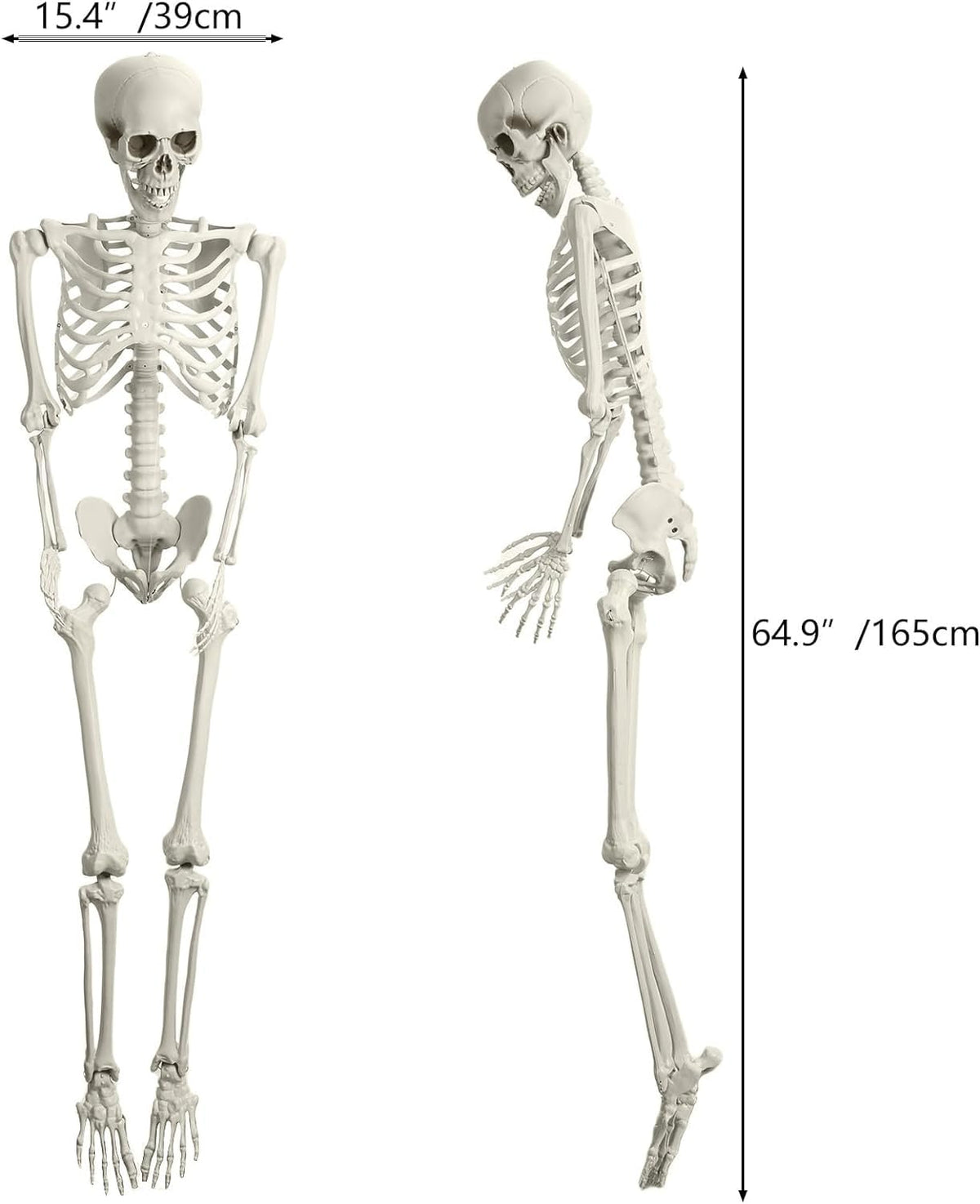 Halloween Skeleton Decoration 65inch Plastic Life Size K45483