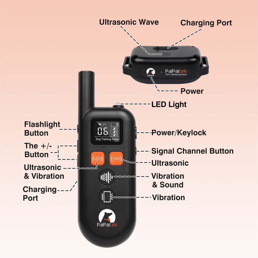 Vibrating Dog Training Collar with Remote R2206