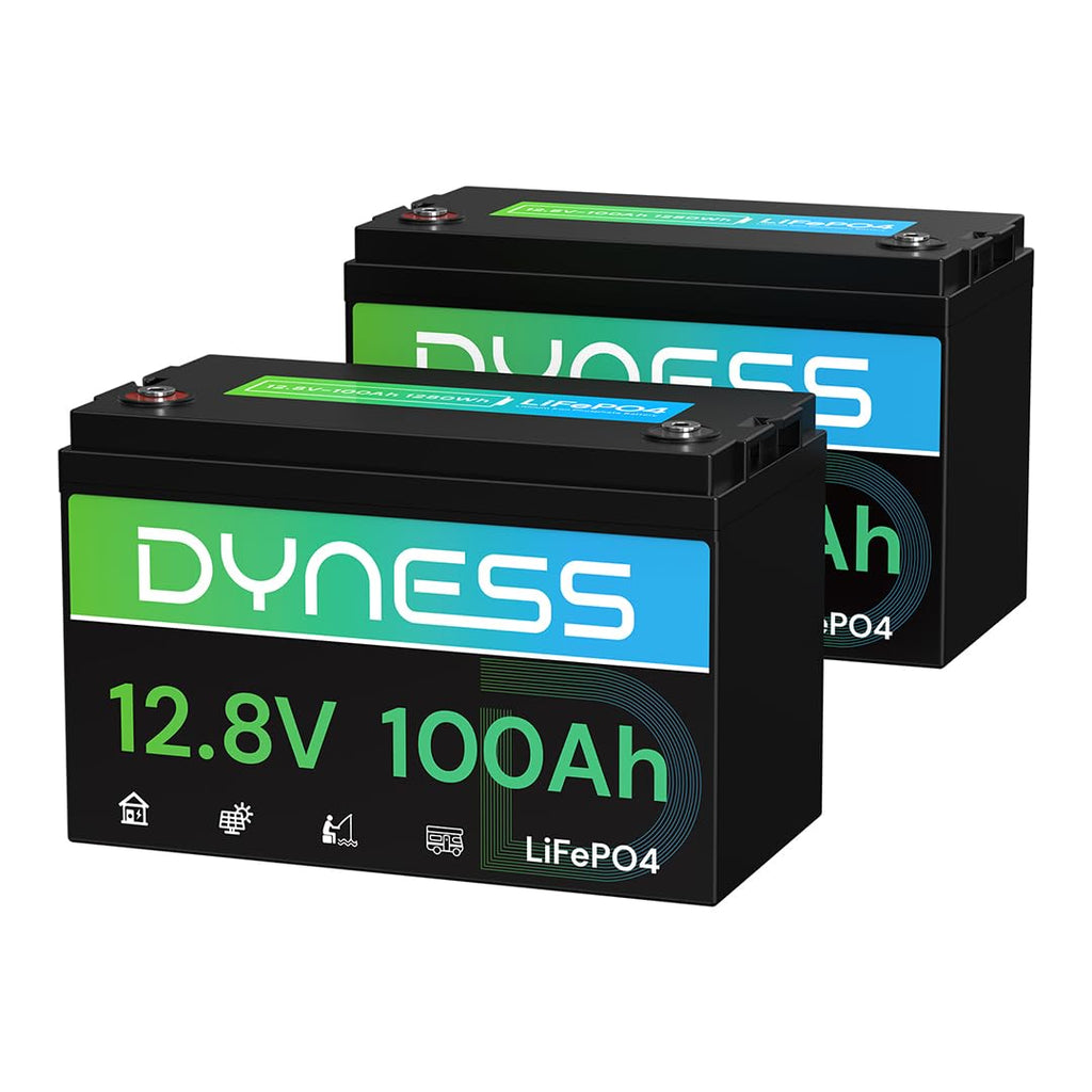 12V 100Ah LiFePO4 Lithium Battery 2 Pack Group 31 D123