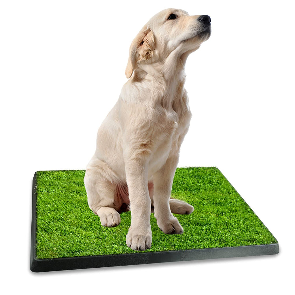 Indoor Dog Toilet with Artificial Grass 25" x 20" D808