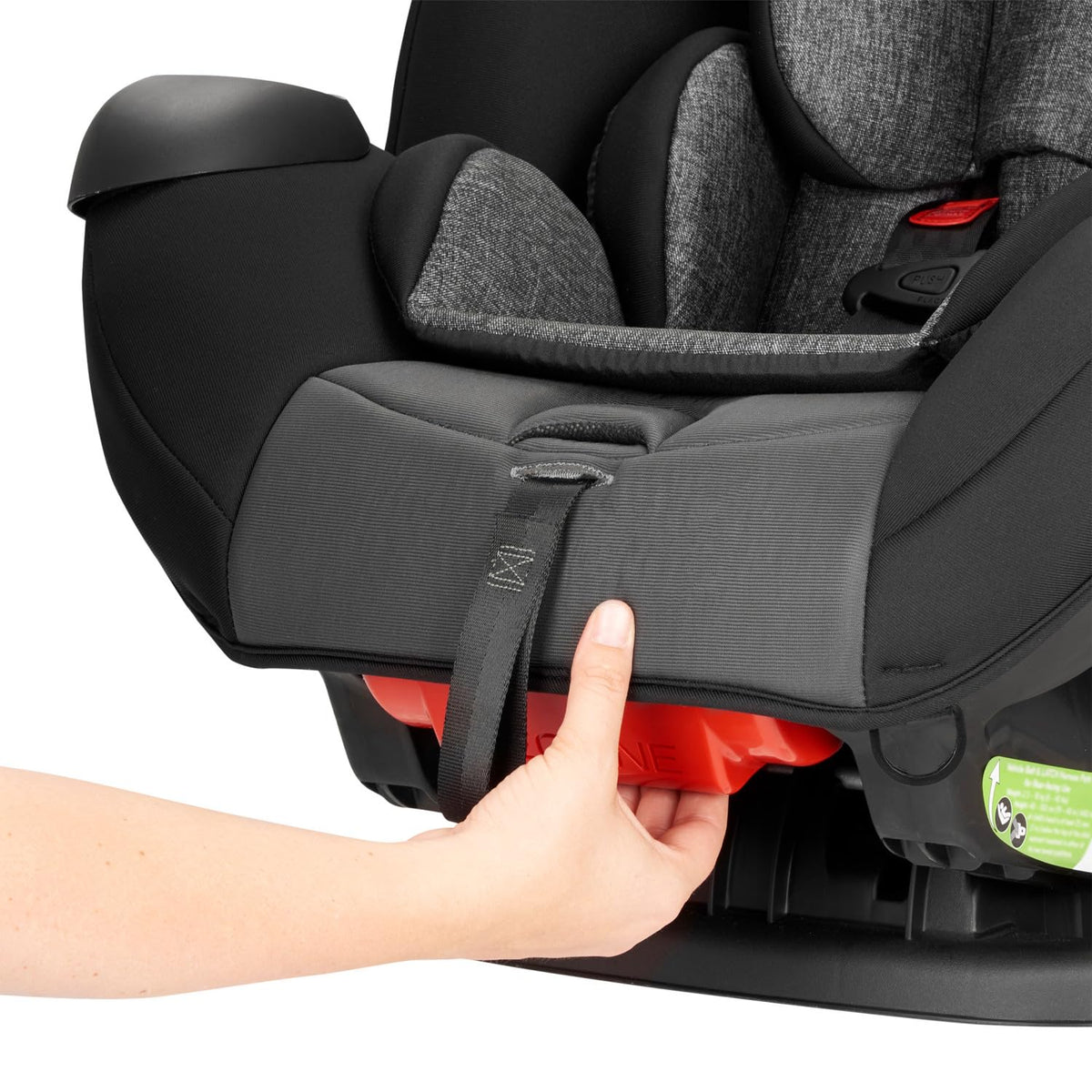 Convertible Car Seat D242846