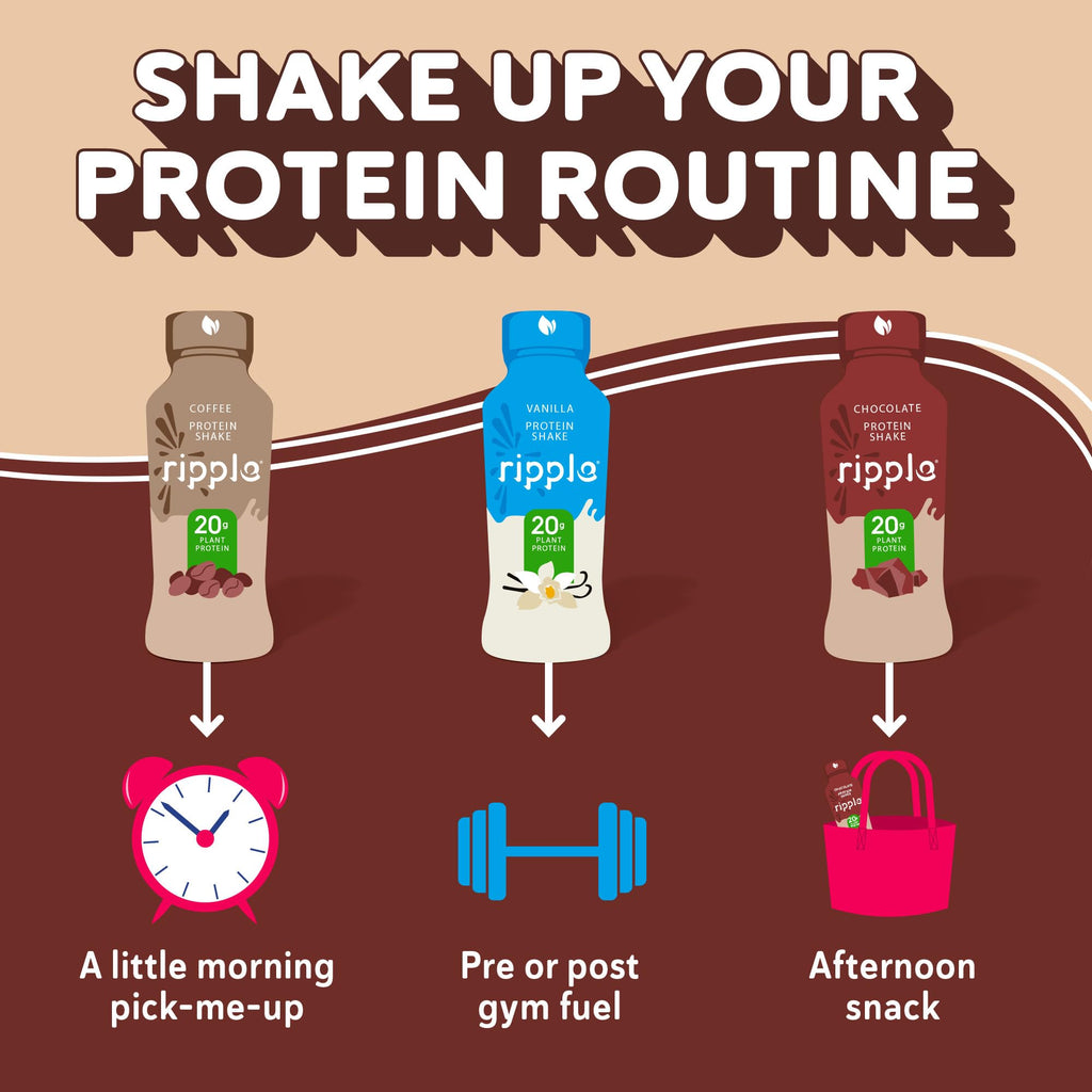 Chocolate Plant Based Protein Shake 20g Pea Protein Vegan Non GMO 12 Fl Oz Bottles Pack of 12 I828007