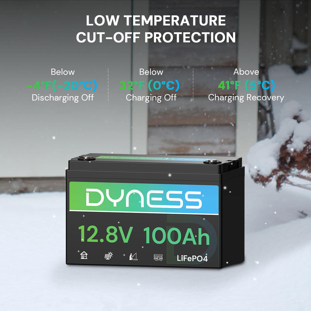 12V 100Ah LiFePO4 Lithium Battery 2 Pack Group 31 D123