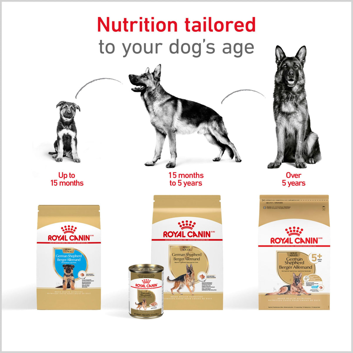 Adult Dry Dog Food 30 lb Bag H5059