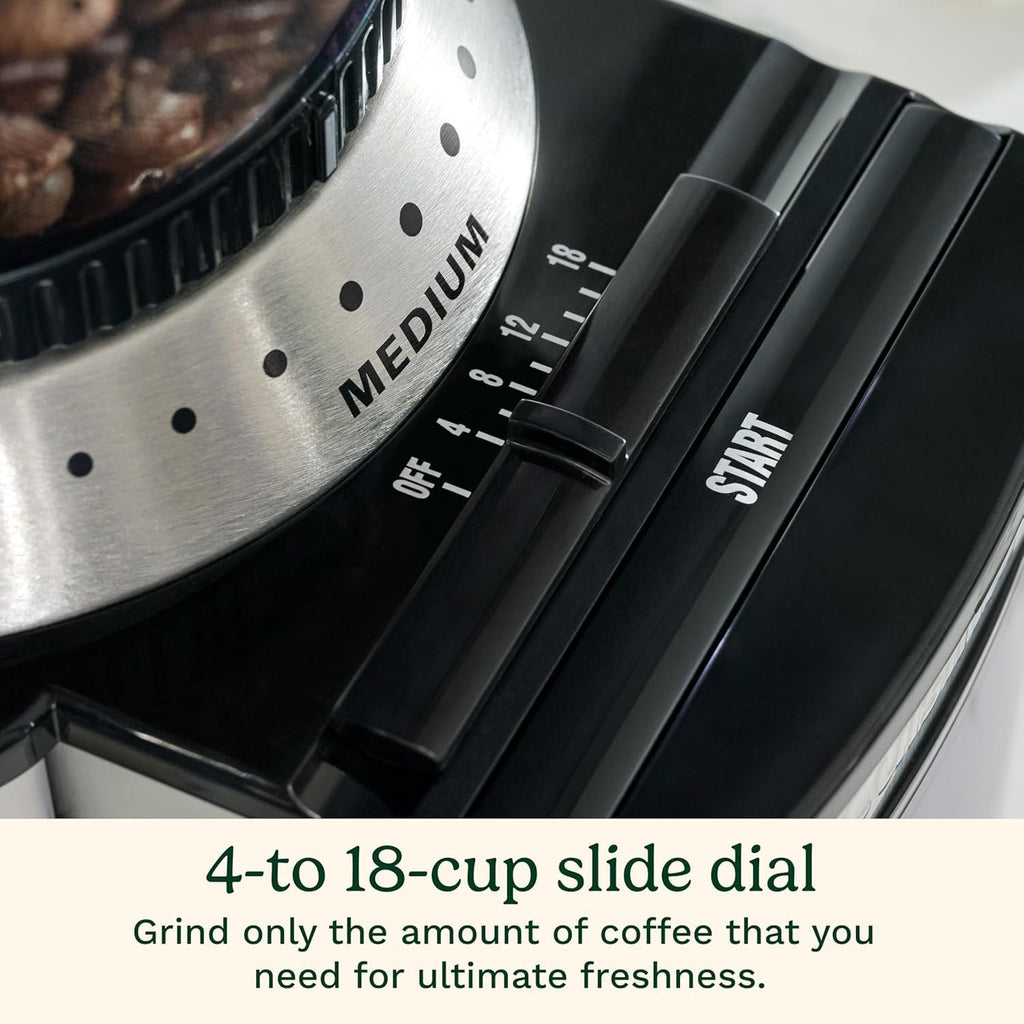 Electric Burr Coffee Grinder with 18-Position Grind Selector B880