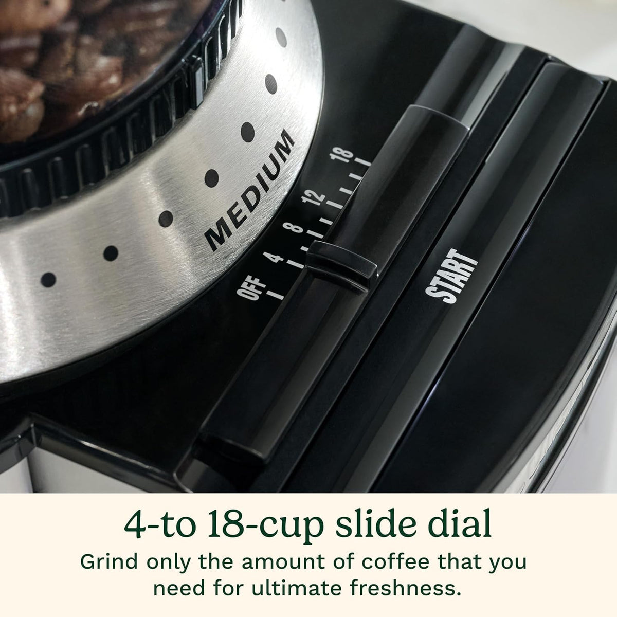 Electric Burr Coffee Grinder with 18-Position Grind Selector B880