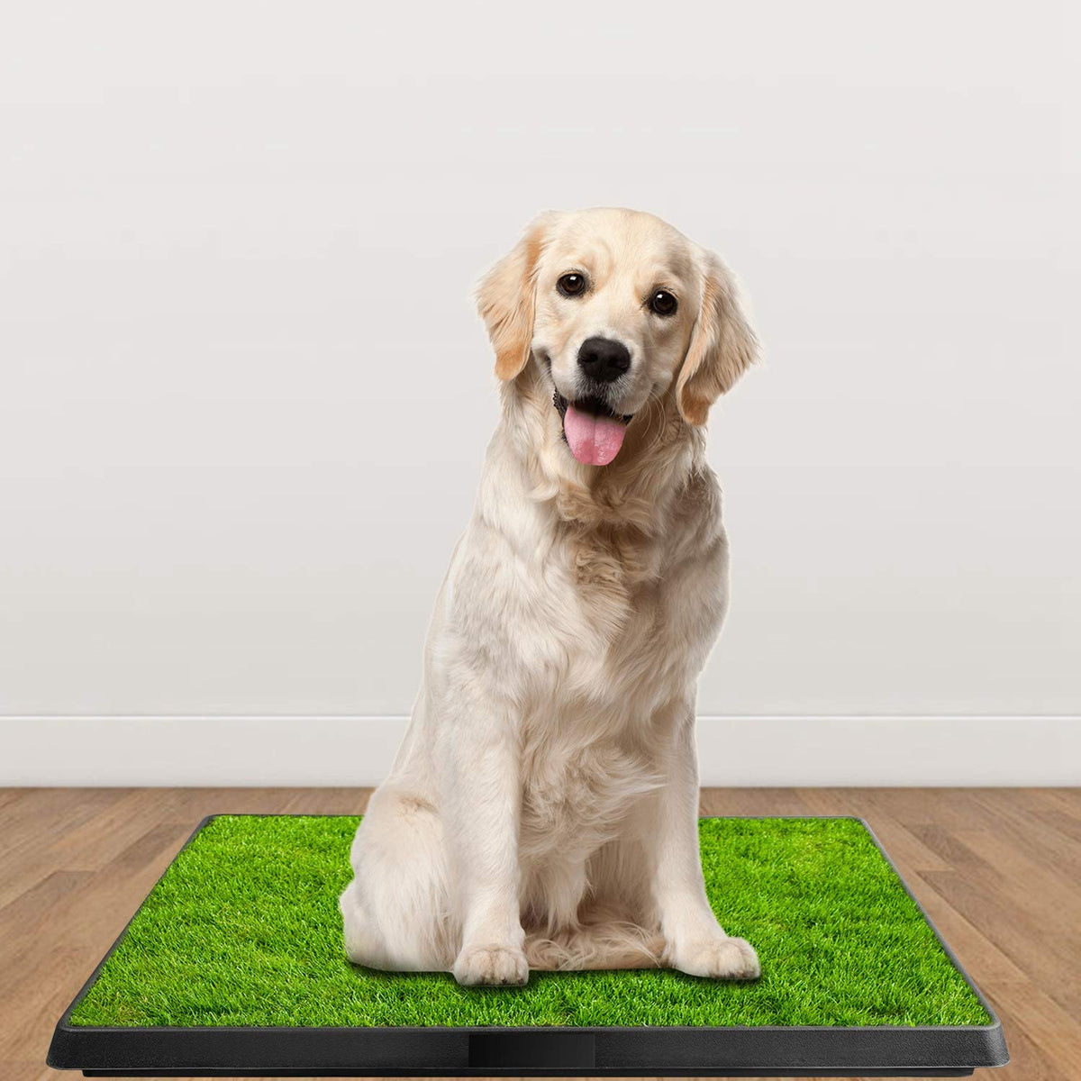Indoor Dog Toilet with Artificial Grass 25" x 20" D808
