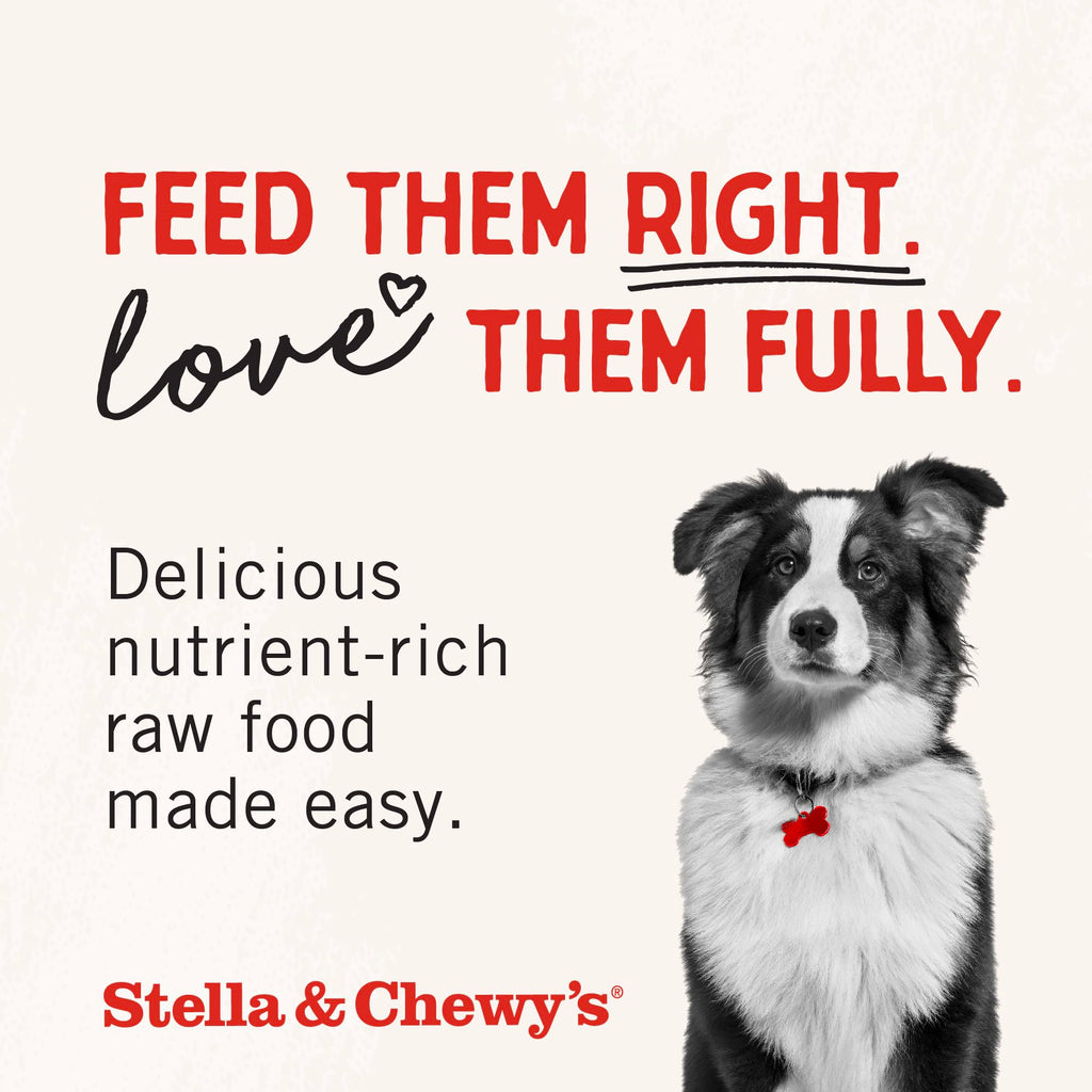 Freeze-Dried Raw Chicken Heart Dog Treats 11oz Bag O87727