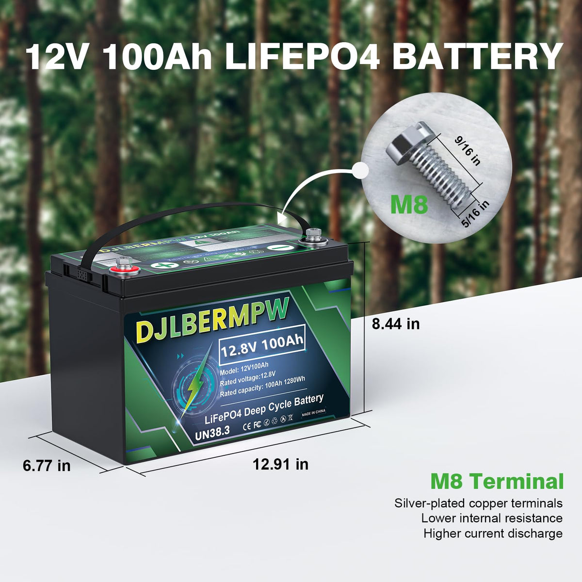 12V 100Ah LiFePO4 Lithium Battery Y252983