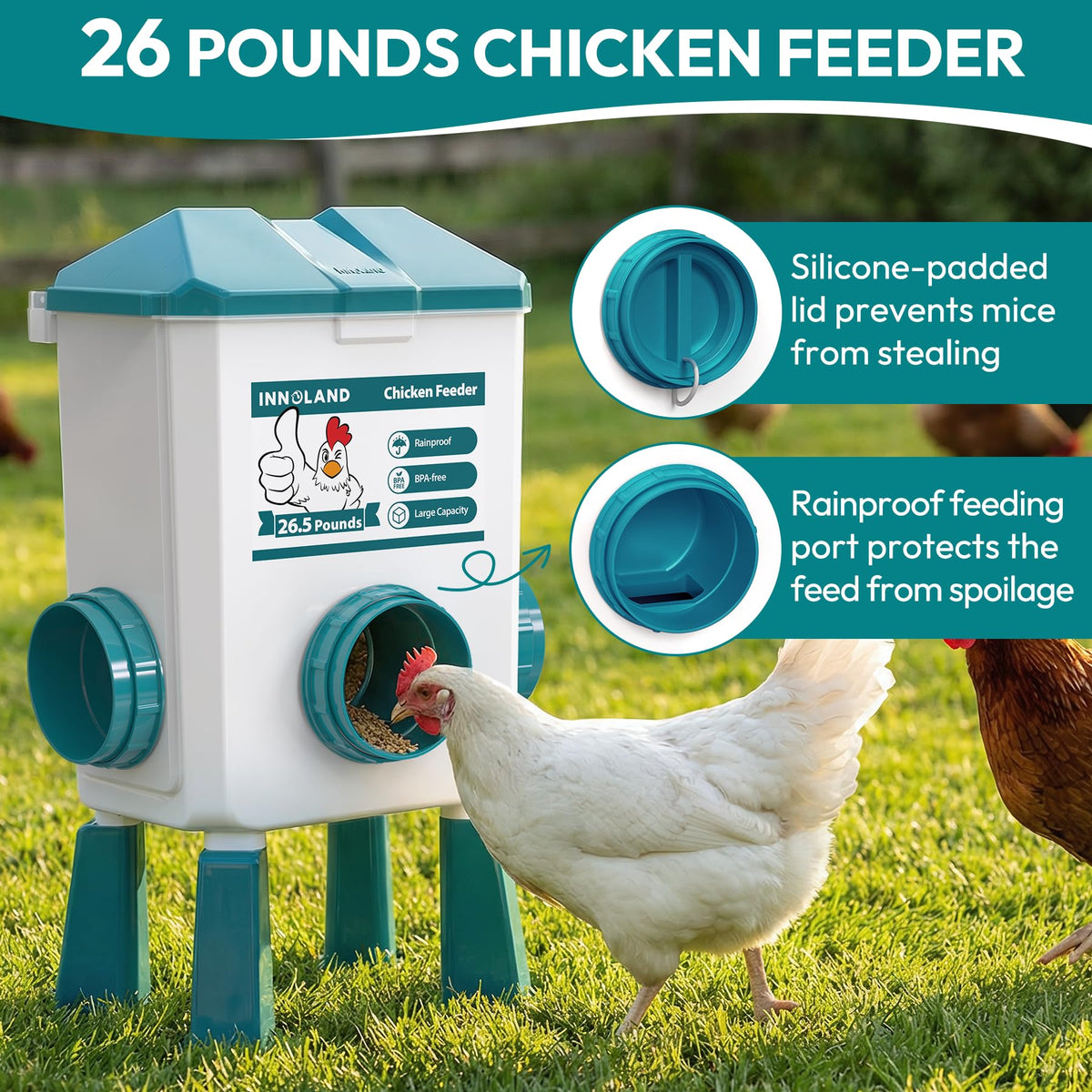Chicken Feeder and Waterer Set J98170
