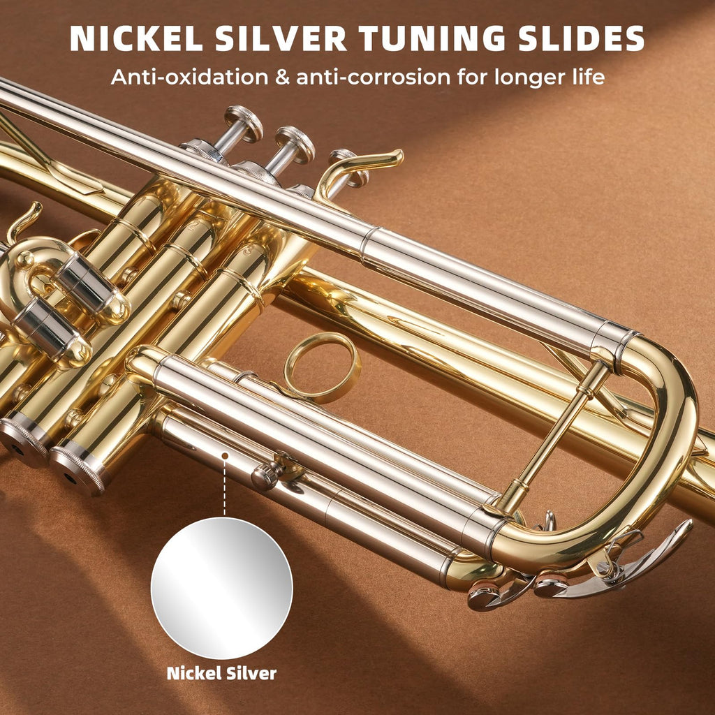 Bb Standard Trumpet Set D19946