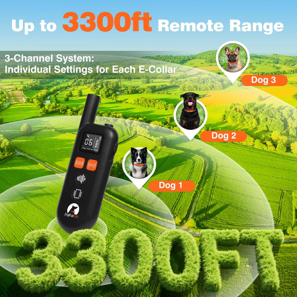 Vibrating Dog Training Collar with Remote R2206