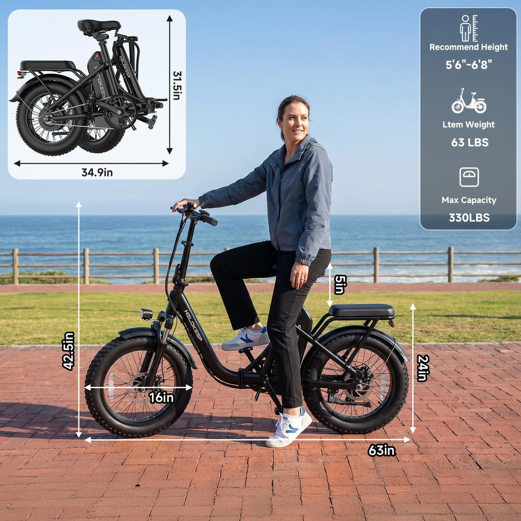 Folding Electric Bike with Rear Rack U924