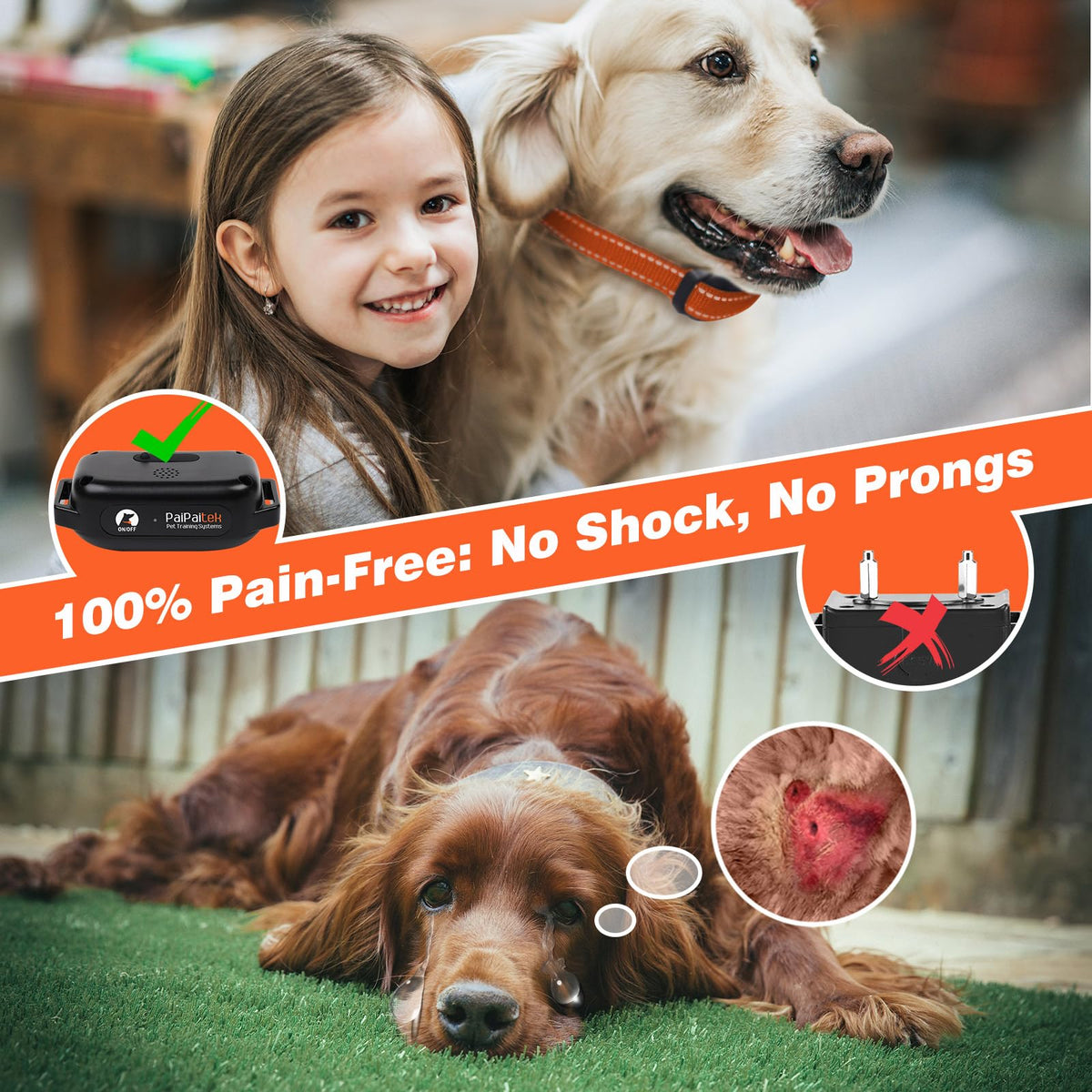Vibrating Dog Training Collar with Remote R2206