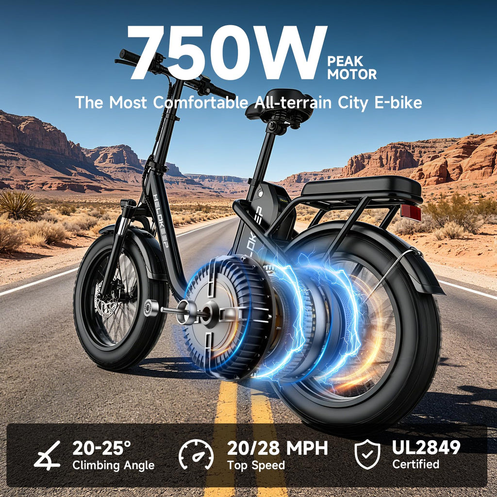 Folding Electric Bike with Rear Rack U924