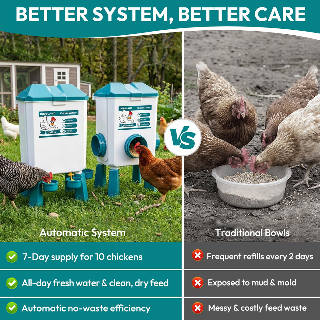 Chicken Feeder and Waterer Set J98170