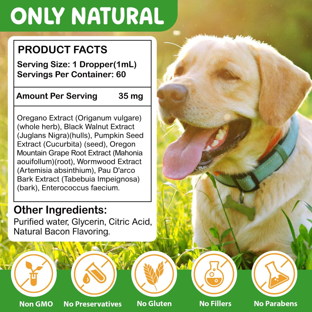 2 Fl Oz Herbal Digestive Support for Dogs I4271