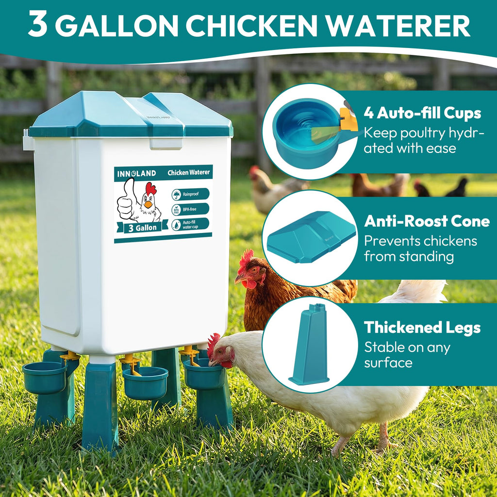 Chicken Feeder and Waterer Set J98170