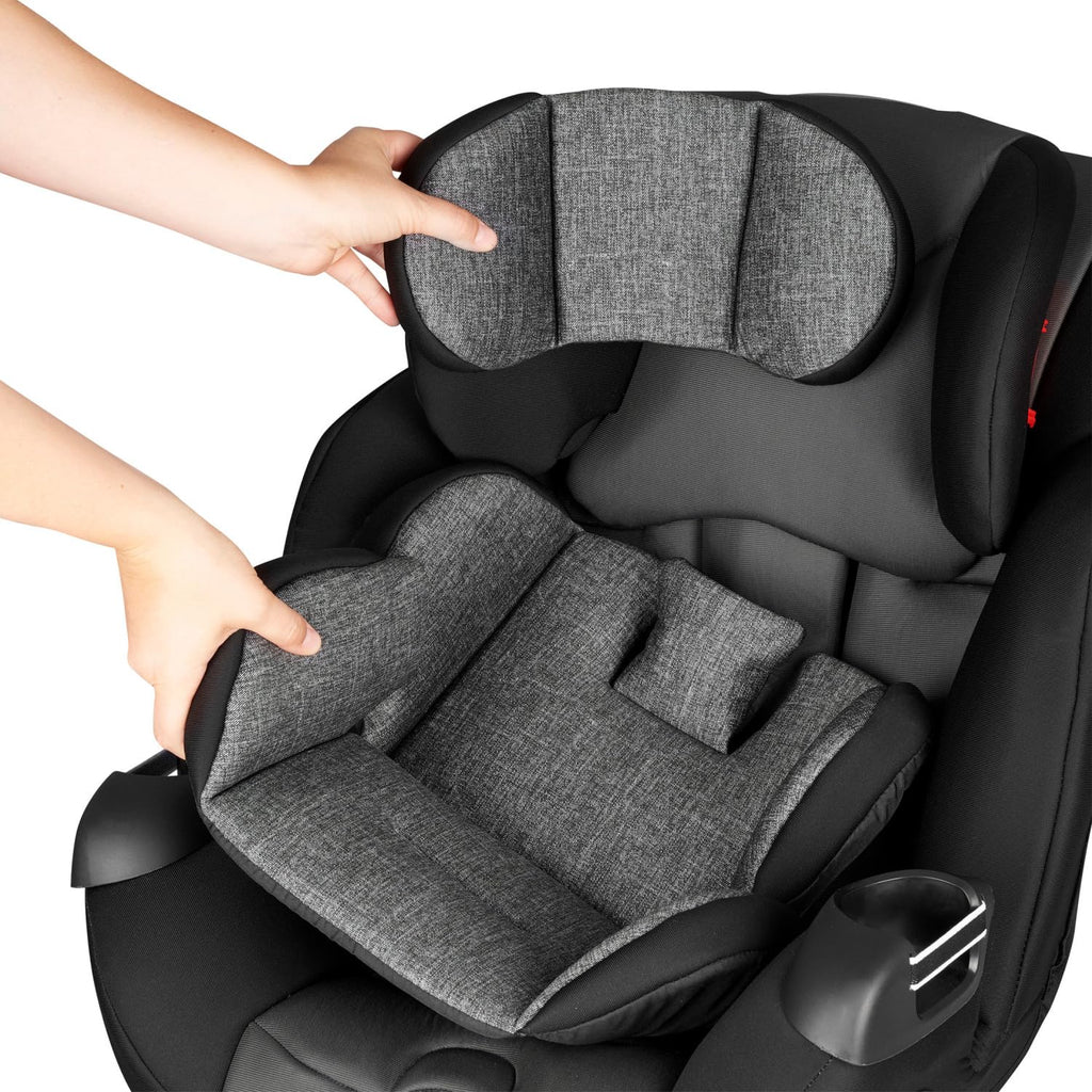 Convertible Car Seat D242846