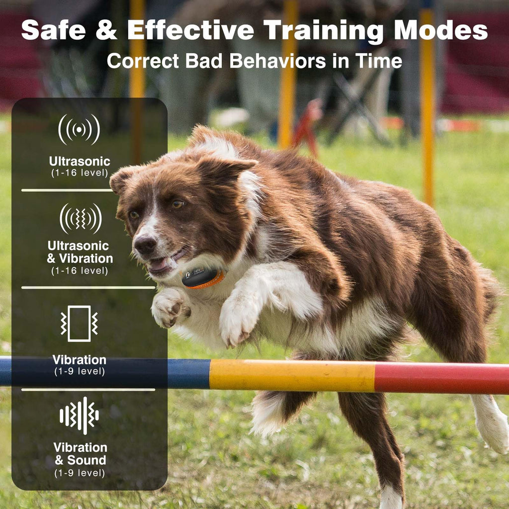 Vibrating Dog Training Collar with Remote R2206