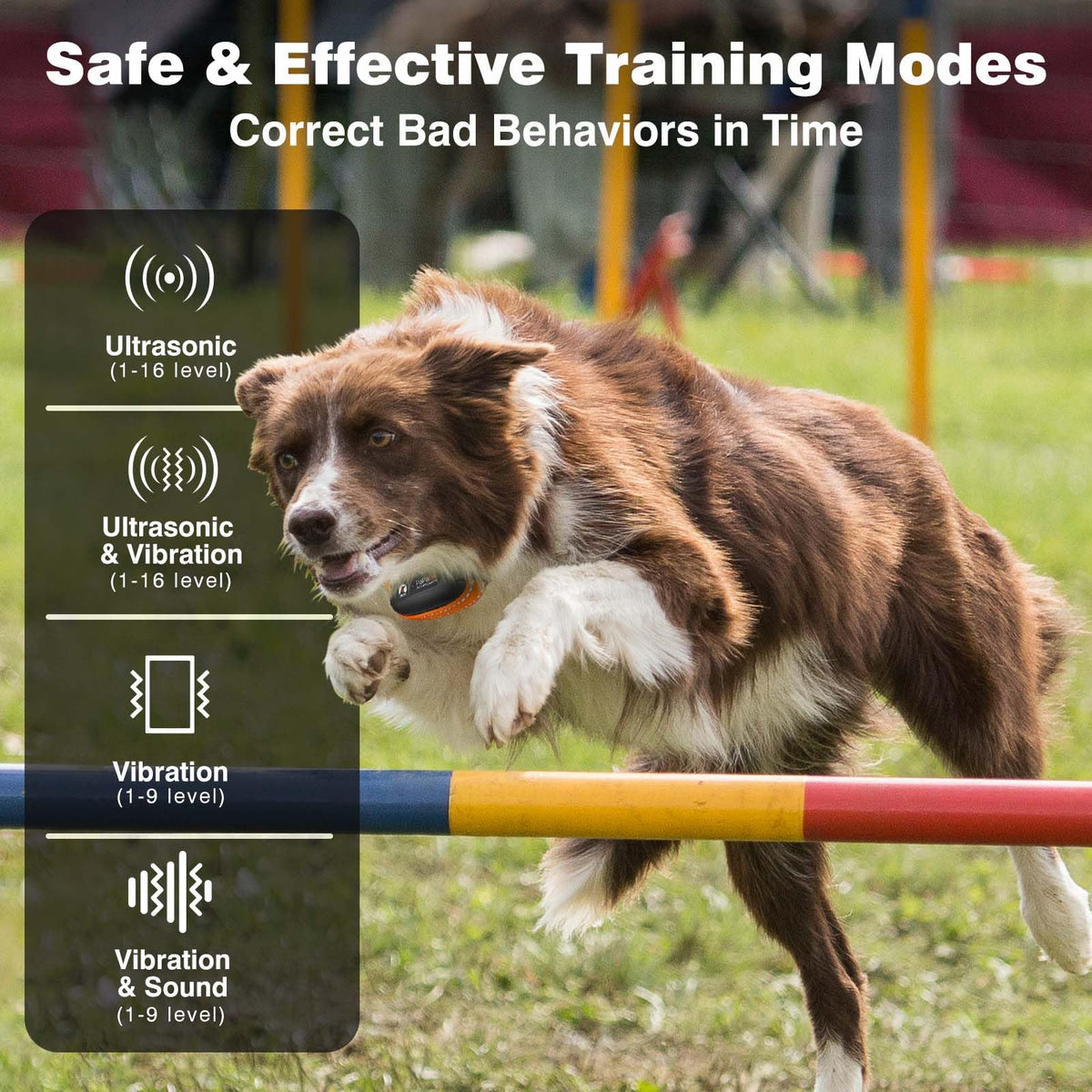 Vibrating Dog Training Collar with Remote R2206